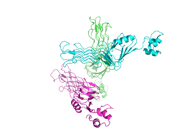 _images/2%402_P07875.png