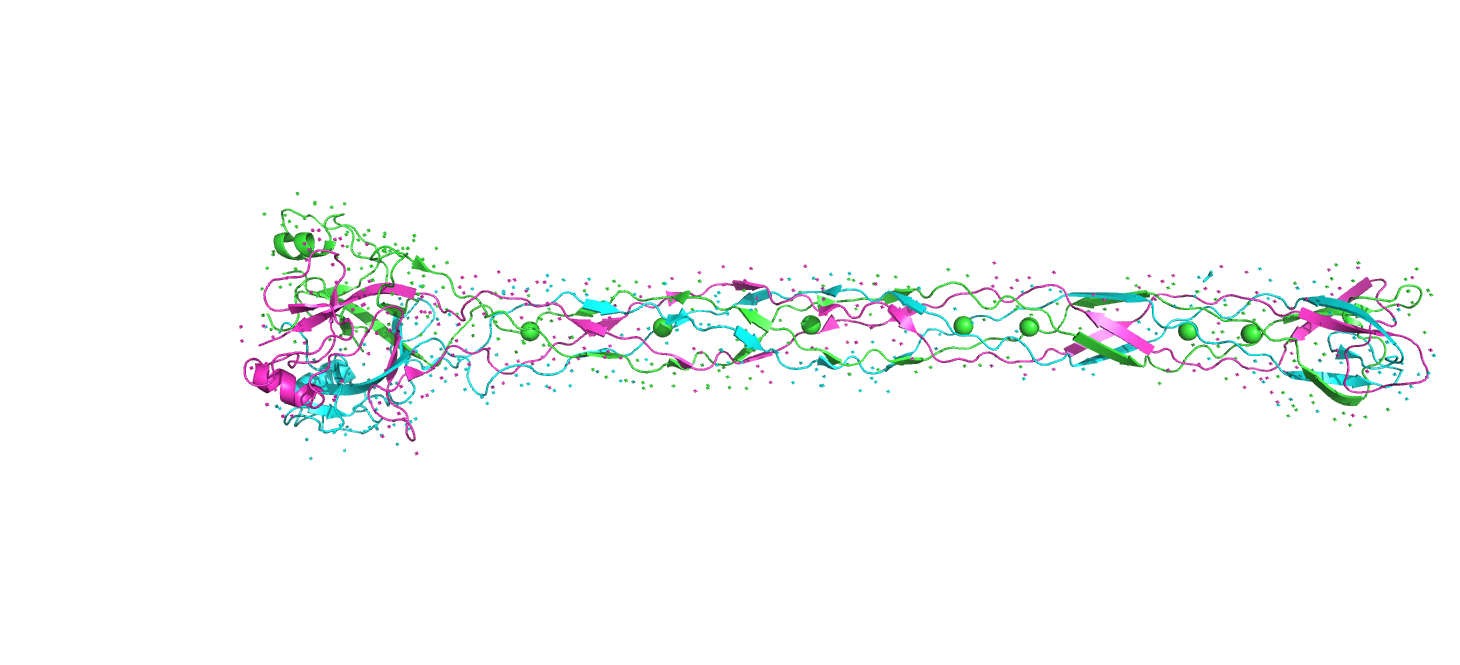 _images/2xgf_pdb.png