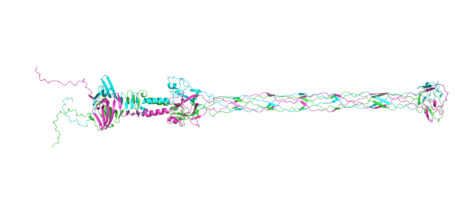 _images/4%404_S13237trimer.png