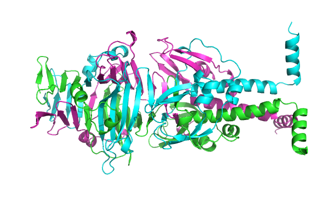 _images/8%408_P08232trimer.png