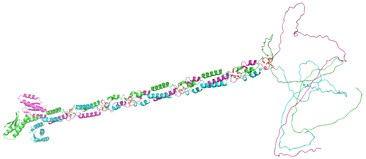 _images/A2EVF3_trimer.png