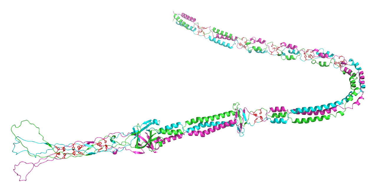 _images/A2F762_trimer.png