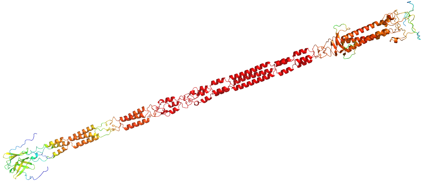 _images/A2FI27_trimerbfactor.png