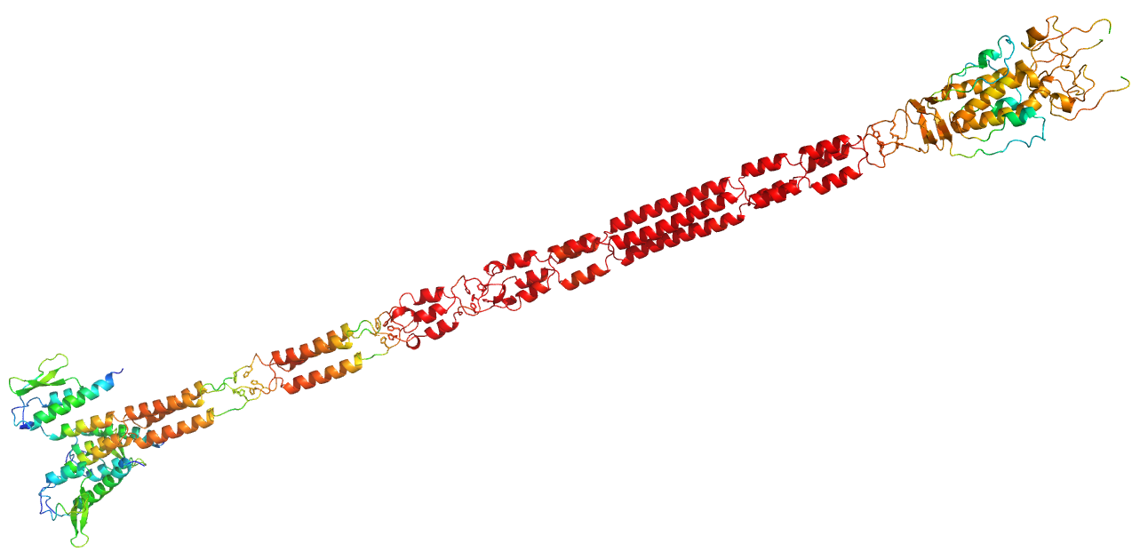 _images/A2FI29_trimerbfactor.png