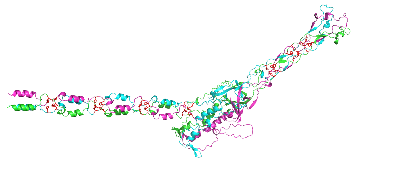_images/A2FPI4_trimer.png