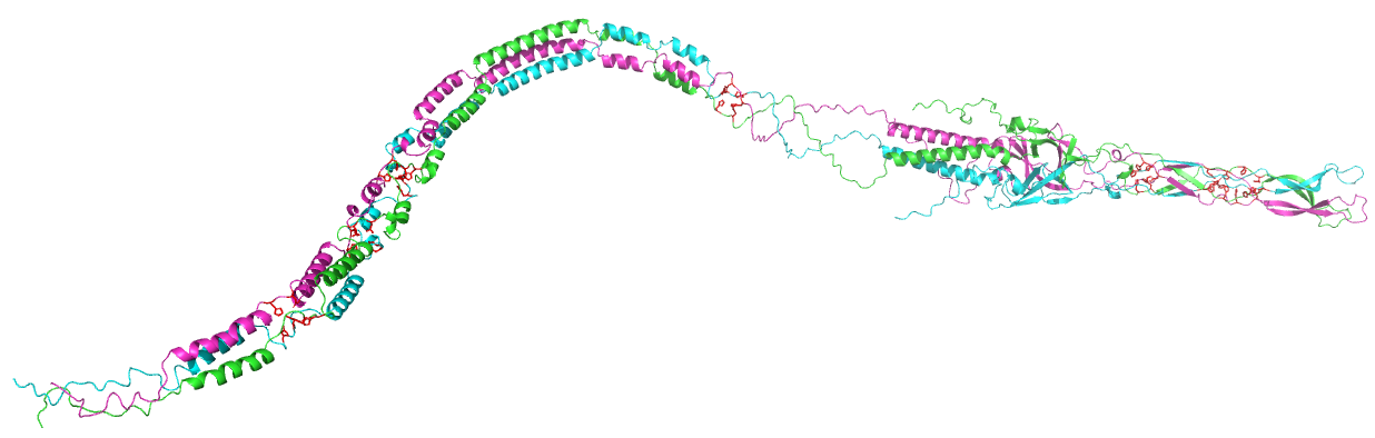 _images/A2GBQ3_trimer.png