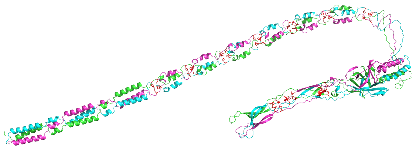 _images/A2GRF3_trimer.png