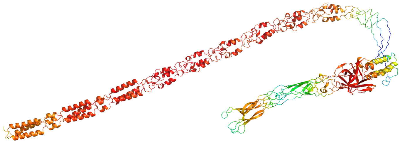 _images/A2GRF3_trimerbfactor.png
