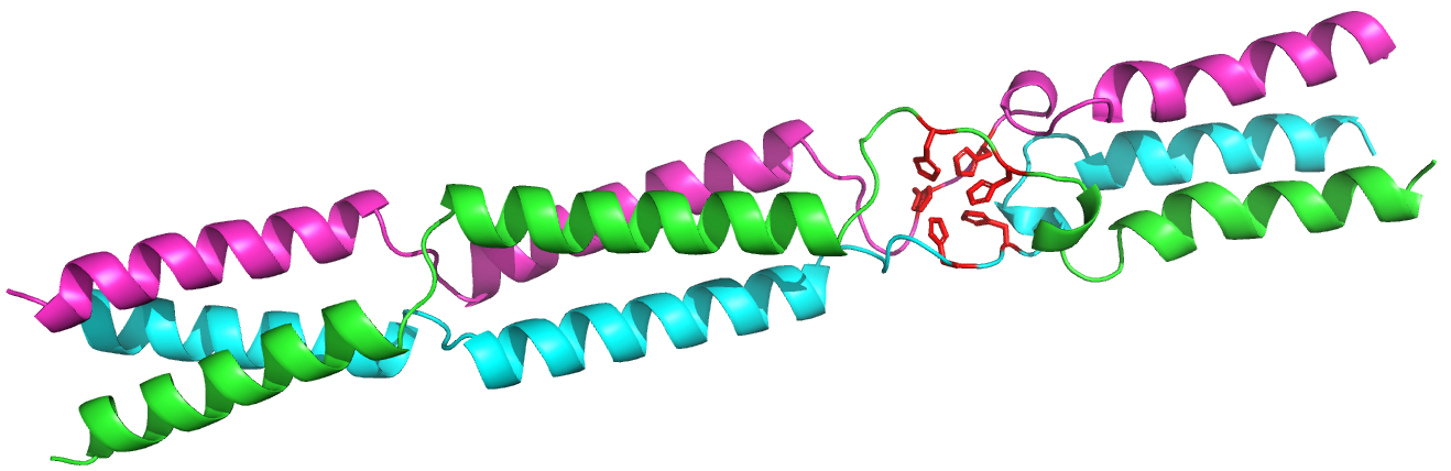 _images/A2GSU3_trimer.png