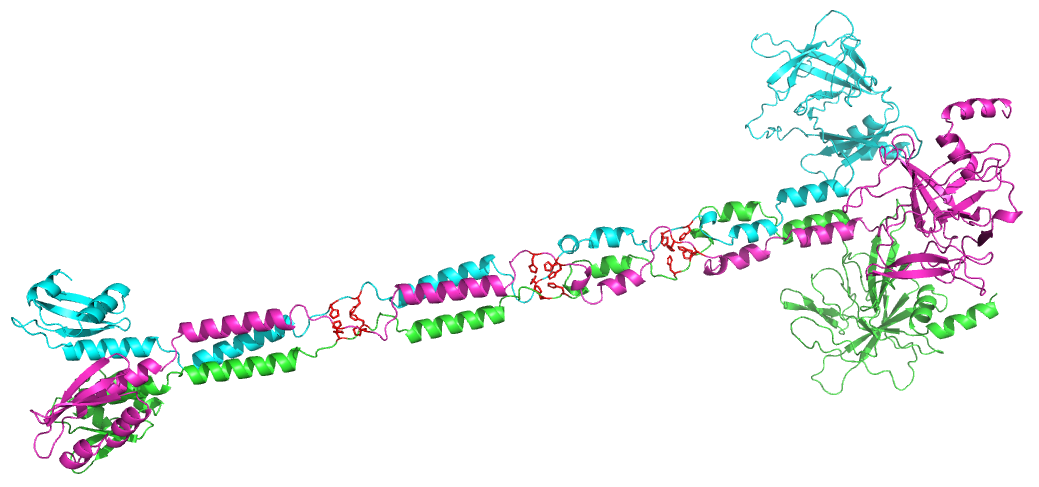 _images/A2HFA0_trimer.png