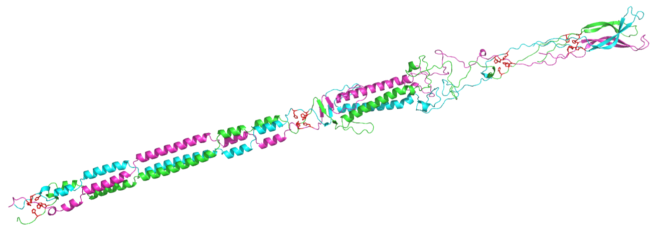 _images/A2HL88_trimer.png