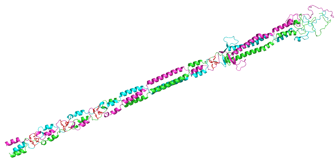 _images/A2HVD0_trimer.png