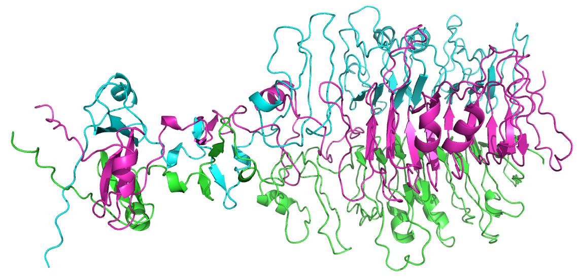 _images/B9TE92_trimer.png