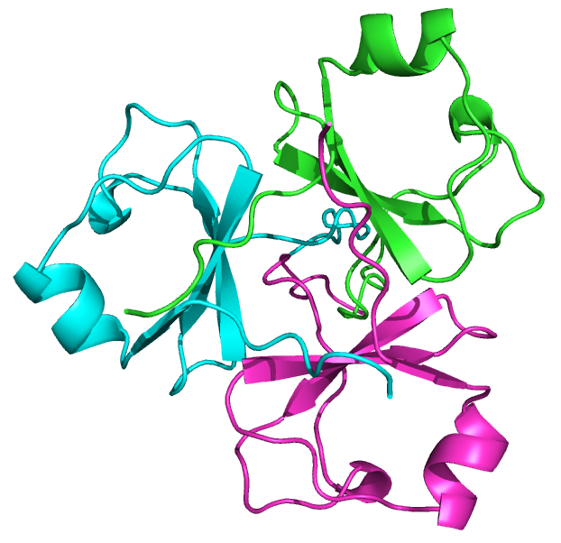 _images/C7F4B3_trimerDomain.png