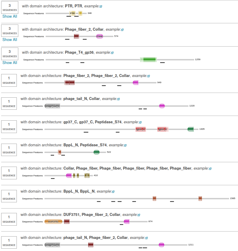 _images/Domain2_dom3.png