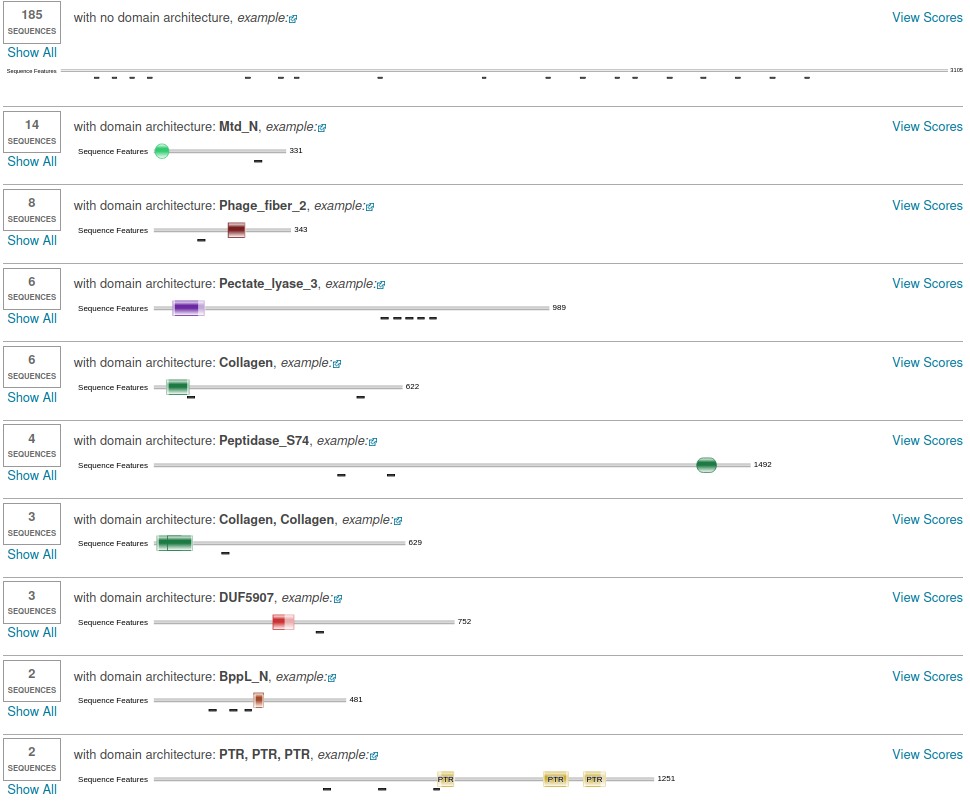 _images/Domain3_dom.png