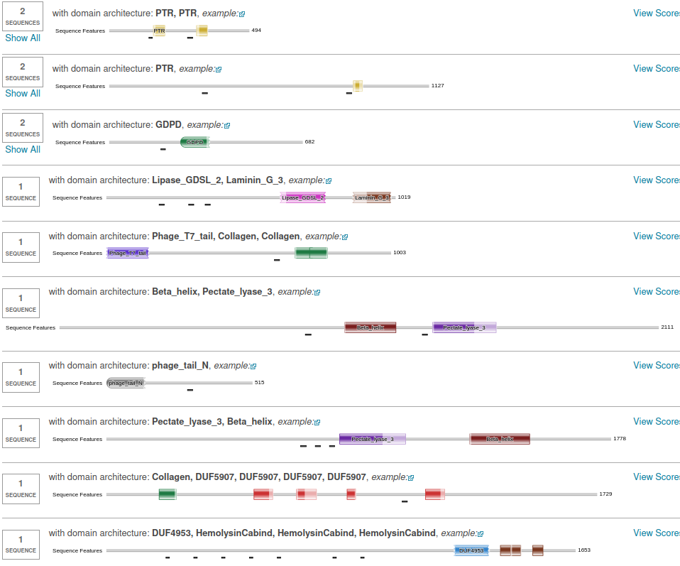 _images/Domain3_dom2.png