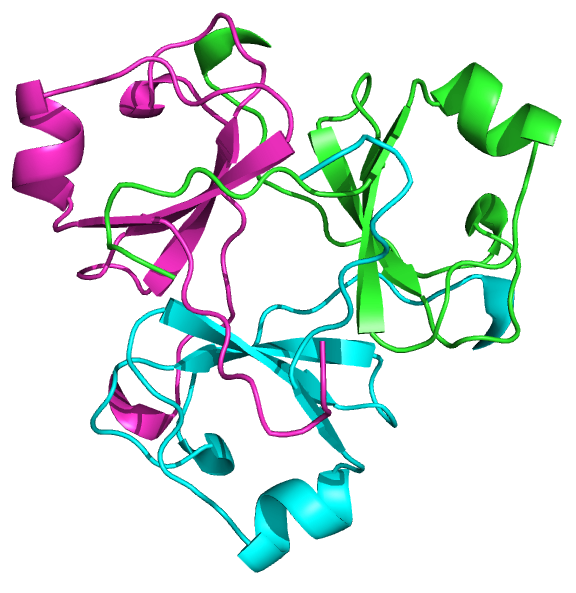 _images/L0KWD4_trimerDomain.png