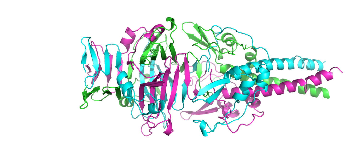 _images/P08232_AF_SW.png