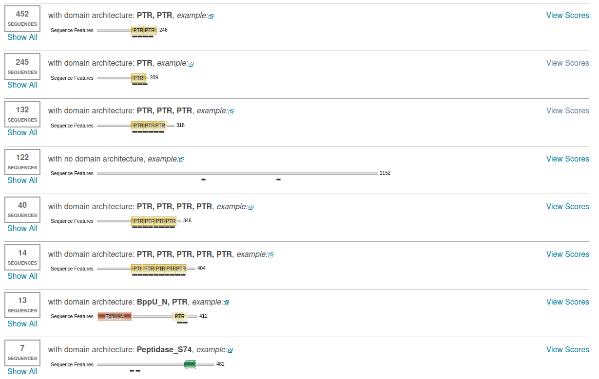 _images/domains1.png