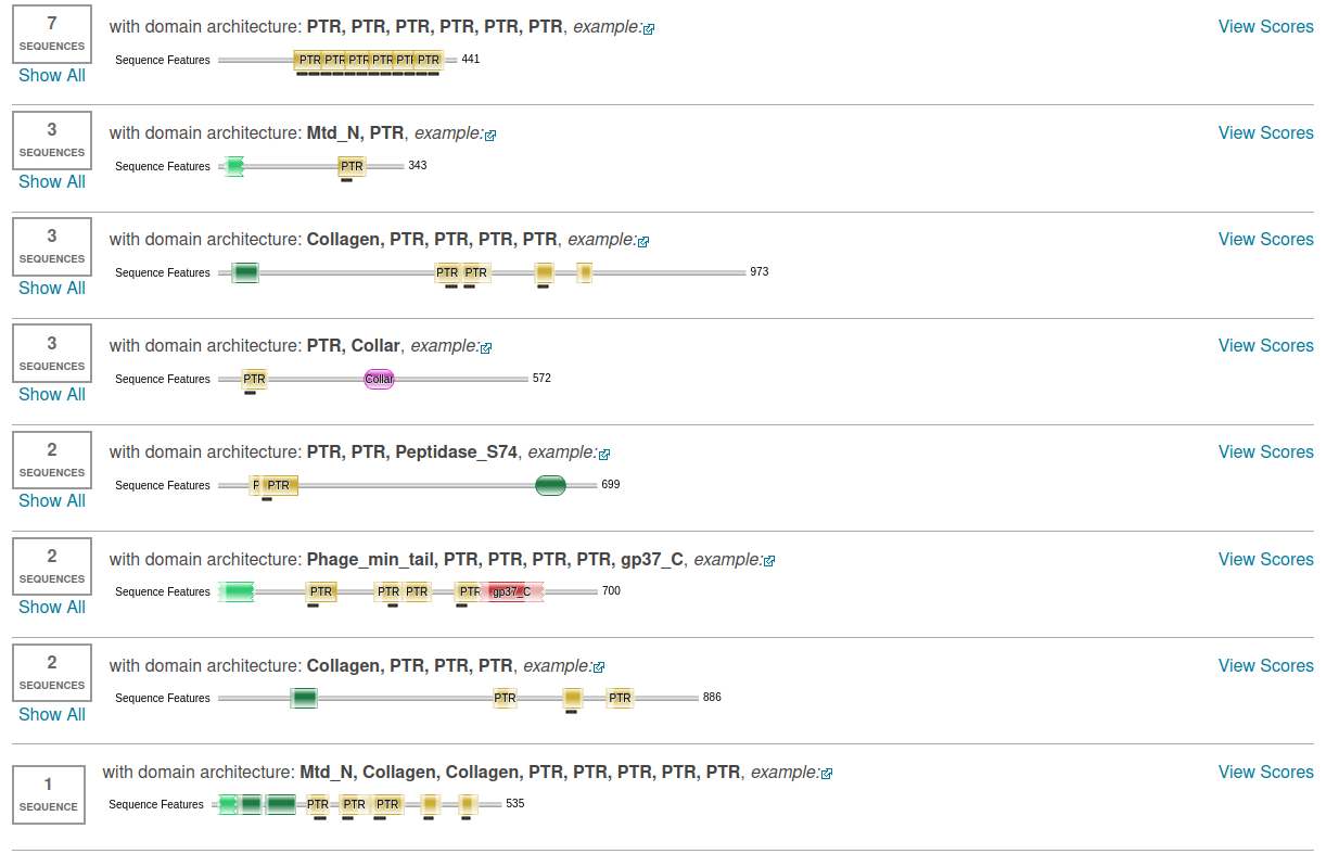_images/domains2.png