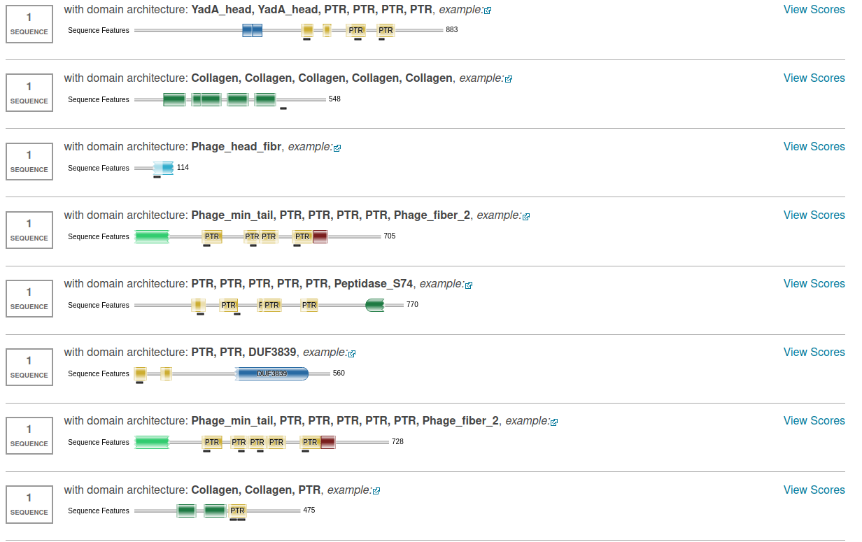 _images/domains3.png