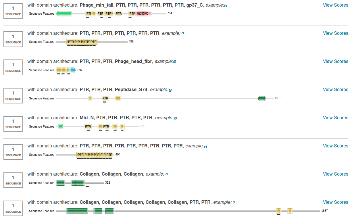 _images/domains4.png