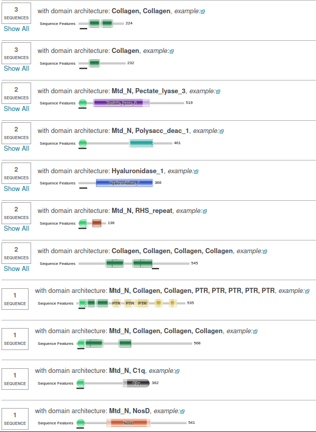 _images/domtrimer2.png
